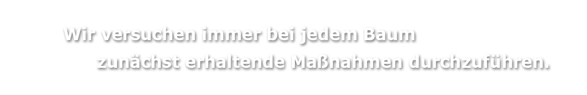 teaser1